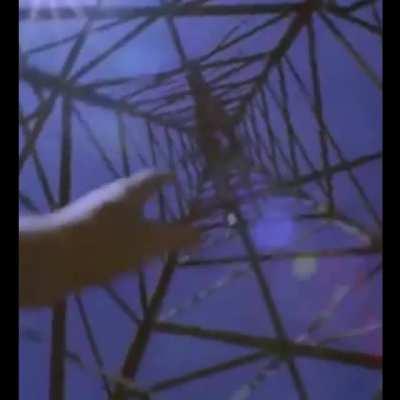 Amby is crawling back into his what?!?!