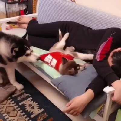 Little one, it’s daddy’s turn!