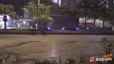 WCGW trusting a puddle