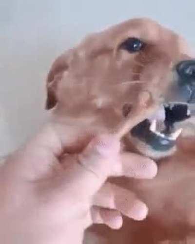 Fighting with my SO but then dinner plans are mentioned