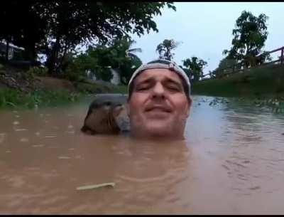 Man greeted by otter in water