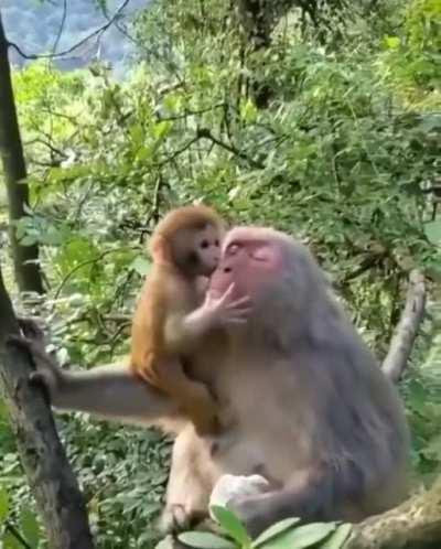 Mom being a good mom