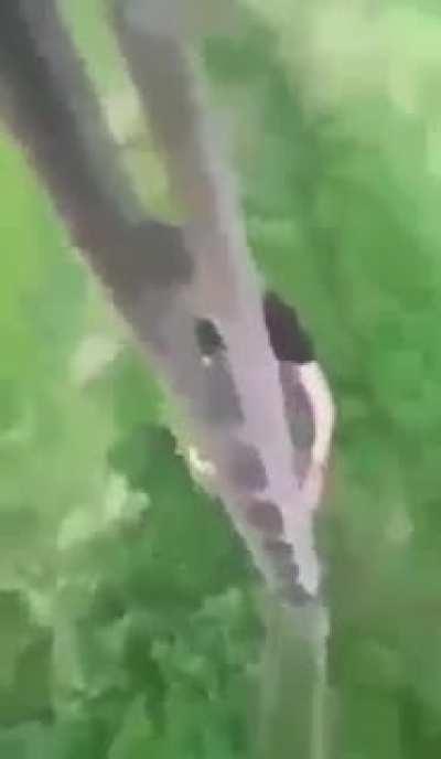 Results of Polish amphetamine