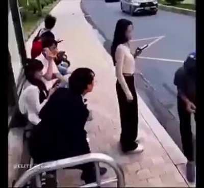 Sharp-eyed guy prevents purse snatch