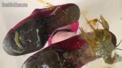 Not sure if this has been posted here or not, but enjoy.