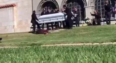 Everyone needs to witness this 💀😭