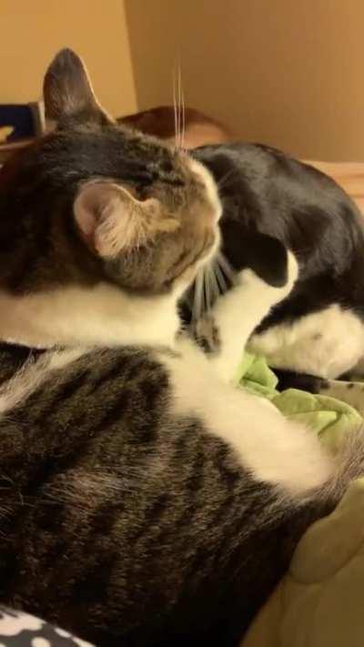 I’m done when I tell you I’m done...