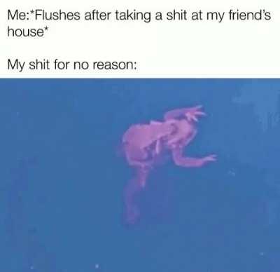 Why are we still here