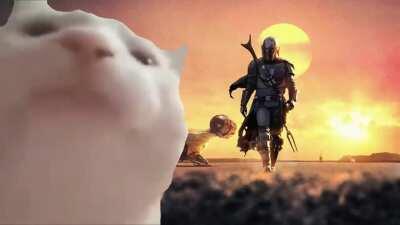 This is the Vibe. (source: Kayoto)