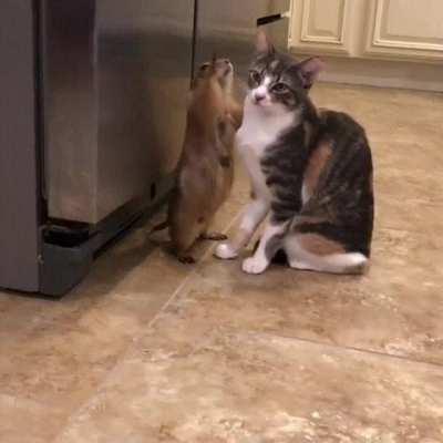 Giving the best bath