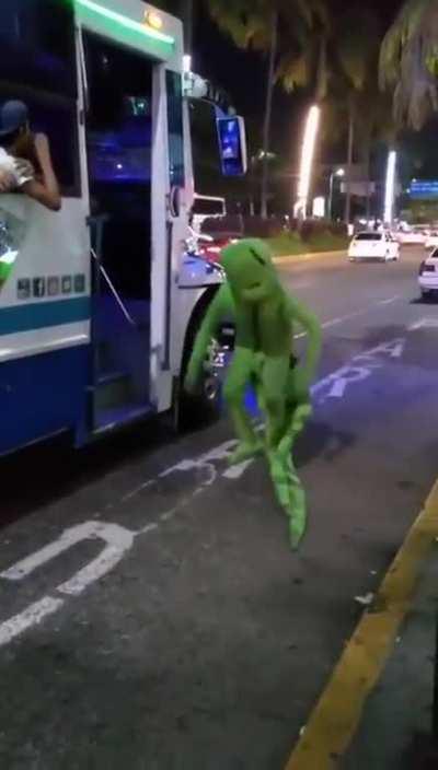 El baile de la iguana