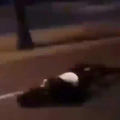 Anyone know this song or sound effect or whatever