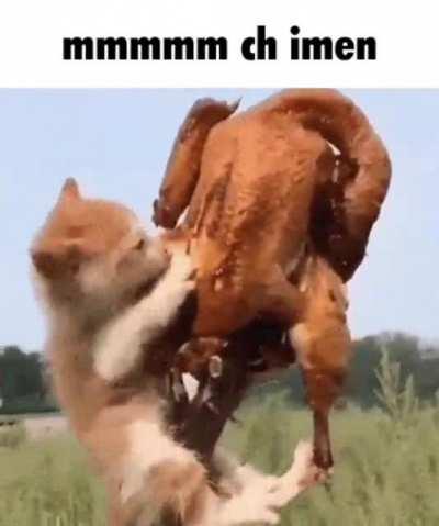 Khat loves ch imen 😁😁😁