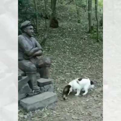 Come on man..Throw it.. and I will fetch!