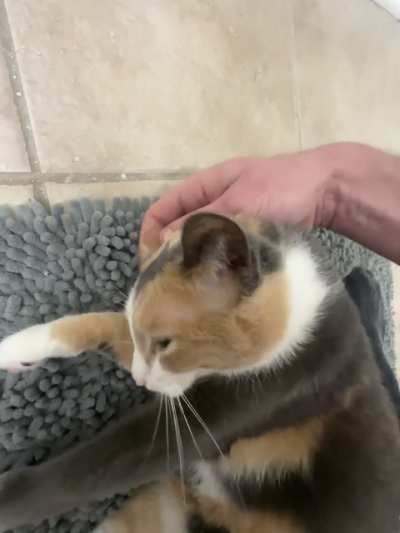 Muffins motor working overtime!