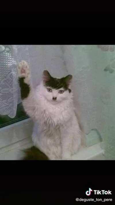 galerimi bosaltiyorum #2