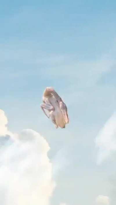 very normal cooking video