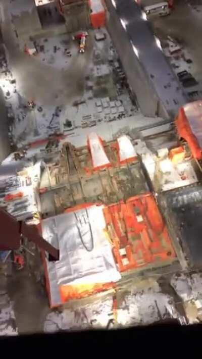 Apes Together Strong