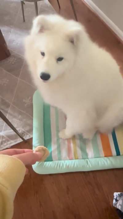 She takes “leave it” very seriously