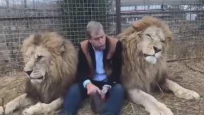 And here's Russian brother in law Yuri correcting his cat with a shoe 