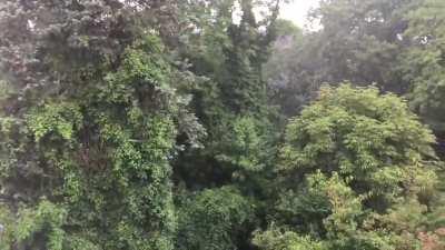 Thunderstorm and downpour onto my skylights, Germany