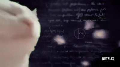 Every time Narcos intro starts to play