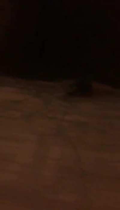 When fun quickly becomes not fun.