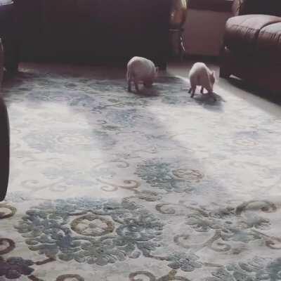 Running up and down the stairs