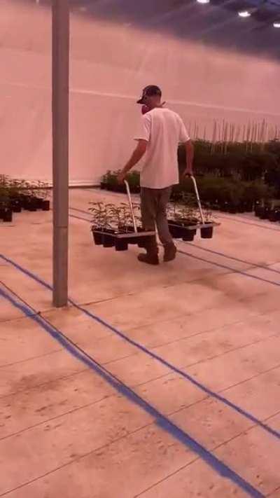 The ‘The Pot-forks’ make moving one gallons easy.