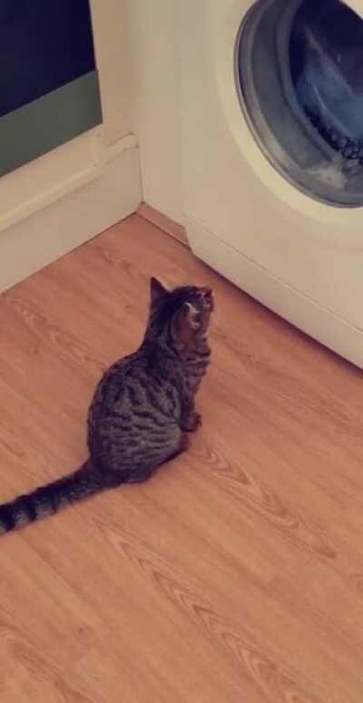 What is this sorcery?!