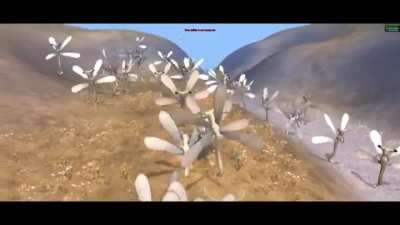 I call it the genocide of the qu race, rhymes with grug