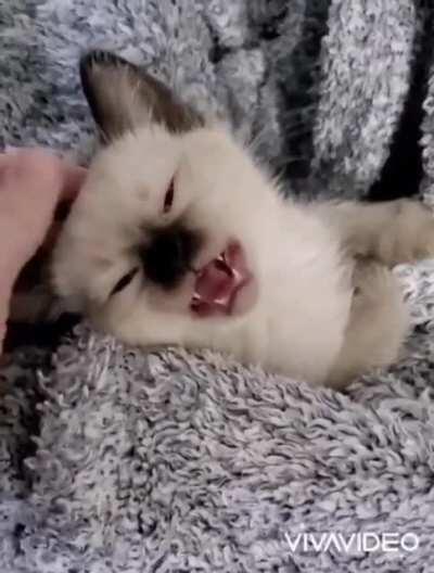 Eeeeeee 🎥 jessthefknmess