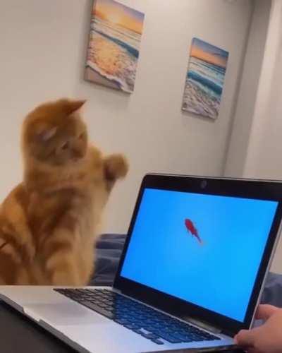 Wacky waving inflatable tube cat