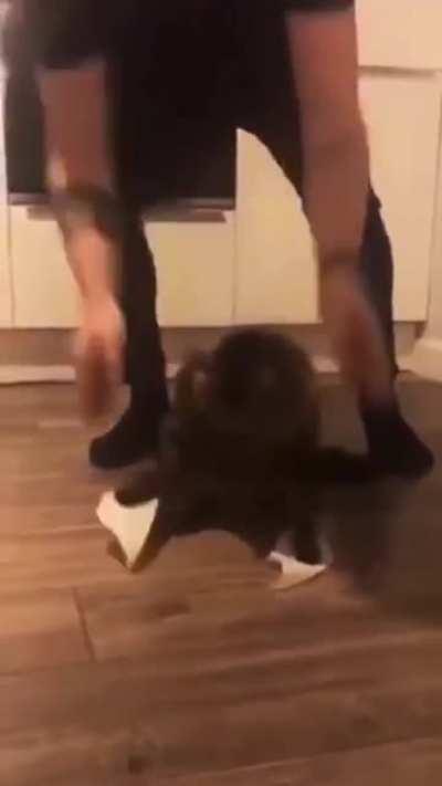 *falls dramatically*