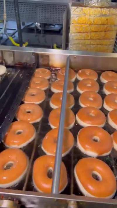 Glazed DONUTS