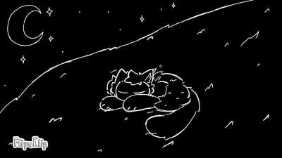 Sleeping cat is very cozy and safety