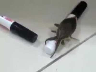 Everybody gangster until...