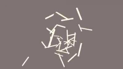 Just a normal stick bug