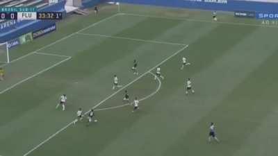 Marcelo Pitaluga highlights