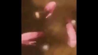 *titanic flashbacks*