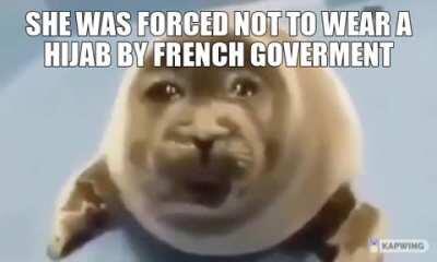French senate banned le epic hijab.
