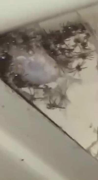 We're gonna need a bigger blowtorch