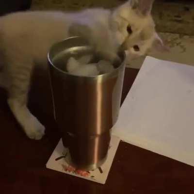 Orpheus, ice, and gravity. 🎥: Heather H