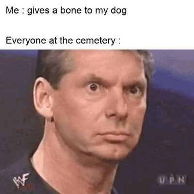 My dog got a bone and I got a boner