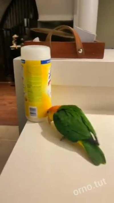 but those little jumps😍😍