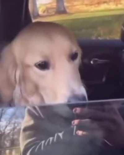 I wonder if he's fond of gay people