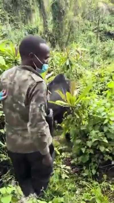 chilling in the nature