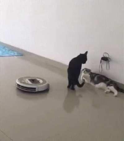 That motion was precision