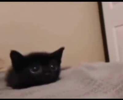 💀💀💀💀💀💀💀💀