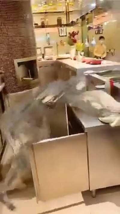 Losercity Technologies